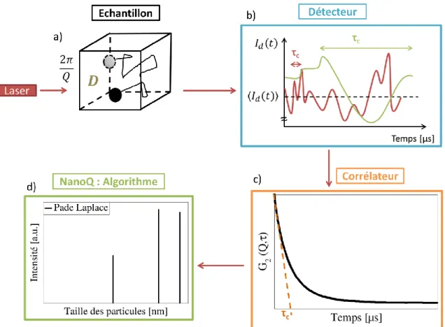 Figure 36 : Chronogramme d’une expérience de diffusion dynamique de la lumière  Inversion des données expérimentales 