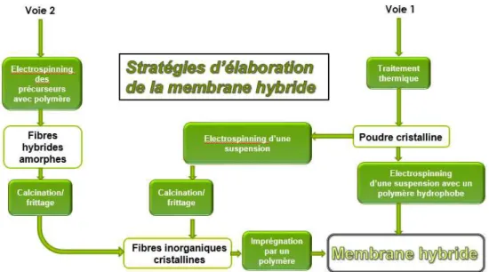 Figure I.19 : Voies envisagées pour la mise en forme de la membrane hybride 