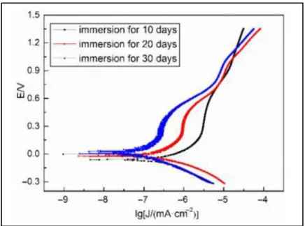 Figure 7 : Courbes de polarisation anodiques de l'alliage 690 aux différents temps  d'immersion lors de l’oxydation du matériau en milieu primaire simulé [61] 