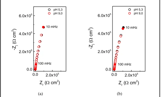 Figure 25 : Diagrammes d'impédance (Nyquist) tracés à E corr  avec les matériaux de référence  (a) T1-P et (b) T2-P après 15 h d’immersion en milieu borate et milieu acide borique à 25°C 