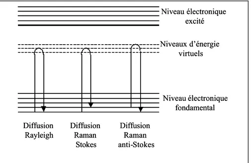 Figure 2 : Diagramme de relaxation de l’énergie photonique : diffusions Rayleigh et Raman