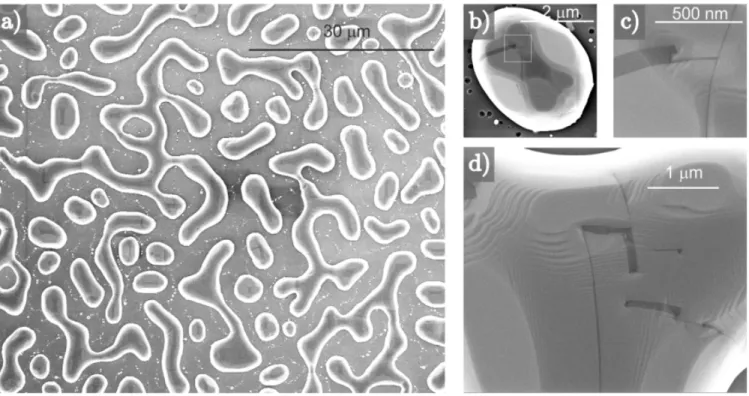 FIG. S3. a) Scanning electron micrograph of 500 nm Ge on UT-SOI after 6 hours annealing at 800 ◦ C