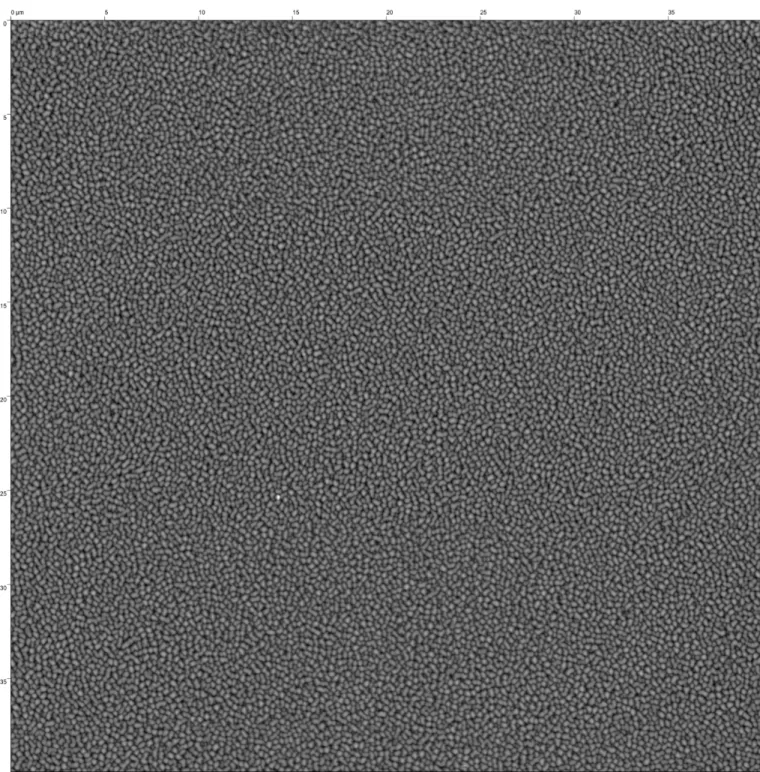 FIG. S4. Large-scale atomic force microscope image, 40×40 µm 2 with a 2048×2048 points, of 25 nm Ge deposited on UT-SOI and annealed at 480 ◦ C for 45 minutes