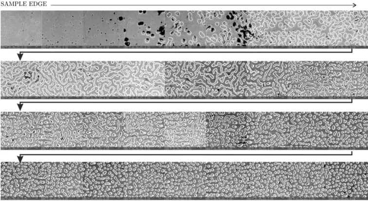 FIG. S1. Scanning electron micrographs (SEM) displaying the morphological evolution (from the edge of the sample, left panel, towards its center, right panel) of 150 nm Si 0.7 Ge 0.3 on UT-SOI after 4 hours annealing at 800 ◦ C