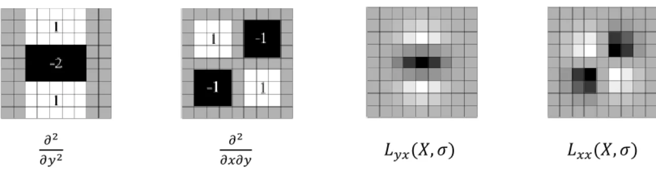Figure 13 : Opérateurs de dérivation d’ordre 2 discrétisés et dérivées d’ordre 2 de la gaussienne [3] 