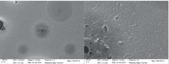 Figure 12 : Images SEM-FEG d’une structure verre/ITO/TiO 2  mésostructuré-P3HT chimique-F127 après recuit à 350°C 