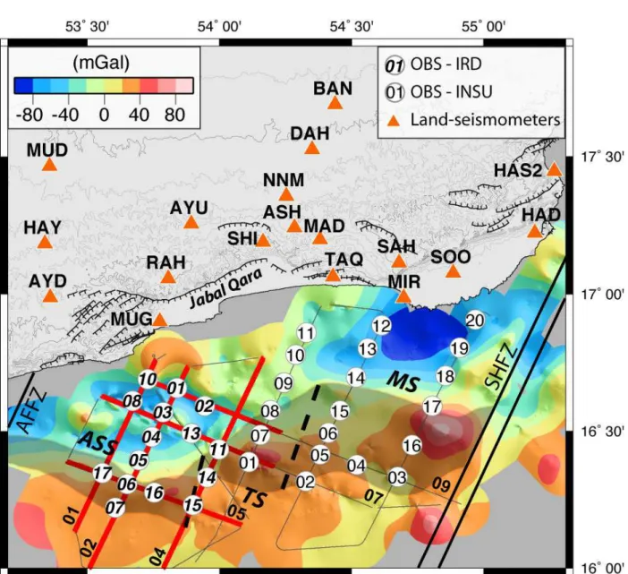 Figure 2. Free-air gravity anomaly map on the Oman margin with locations of OBS, land-stations and wide-angle seismic lines during the Encens experiment
