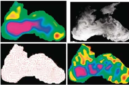 Fig. 2 : Assimilation  d’image dans un modèle  océanique de la mer Noire :  hauteur d’eau prévue par  le modèle sans  assimila-tion (haut gauche), image 