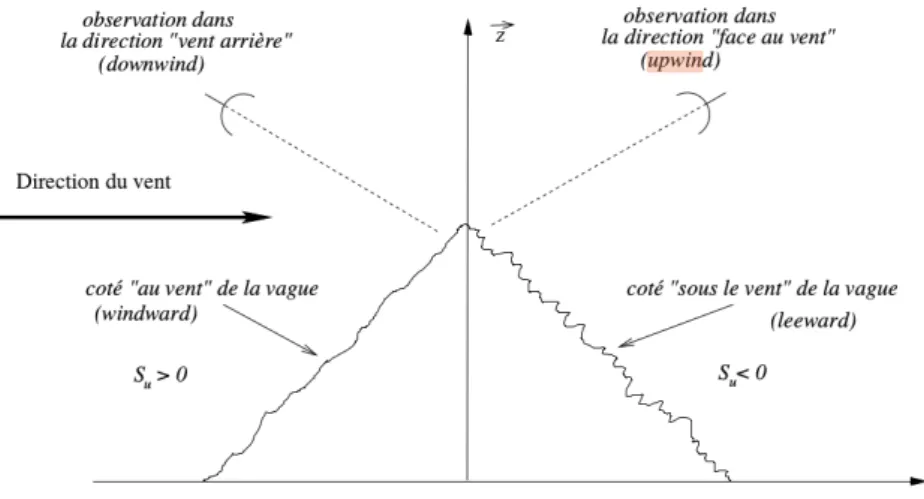 Fig. II.4 Schéma expliquant le modèle deux échelles provenant de Dinnat [2003]
