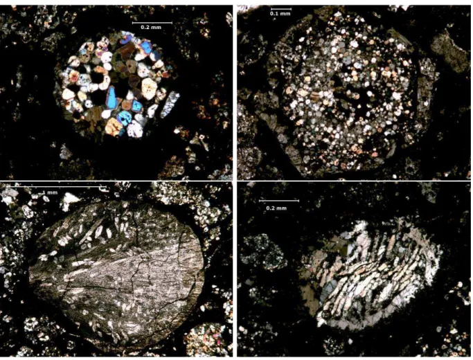 Fig. 2.2 – Quelques chondres typiques de la chondrite carbon´ee CV3 de Vigarano (lame mince 2793-1) observ´es en lumi`ere polaris´ee