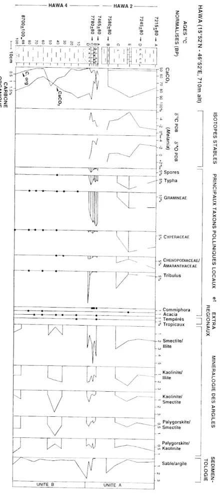 Fig. 5  :  Synthèse des données  sédimentologiques,  mi-  néralogiques,  isotopiques  et  palynologiques  du  site  d'al-Hawa