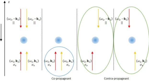Fig. II.3 Schéma de la polarisation des lasers Raman. En bleu la configuration co-propageante et en vert les configurations contra-propageantes.