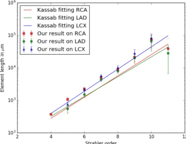 Fig. 10: Asymmetry study of results compared with Kassab morphometry: LCoP segment radius ratio.