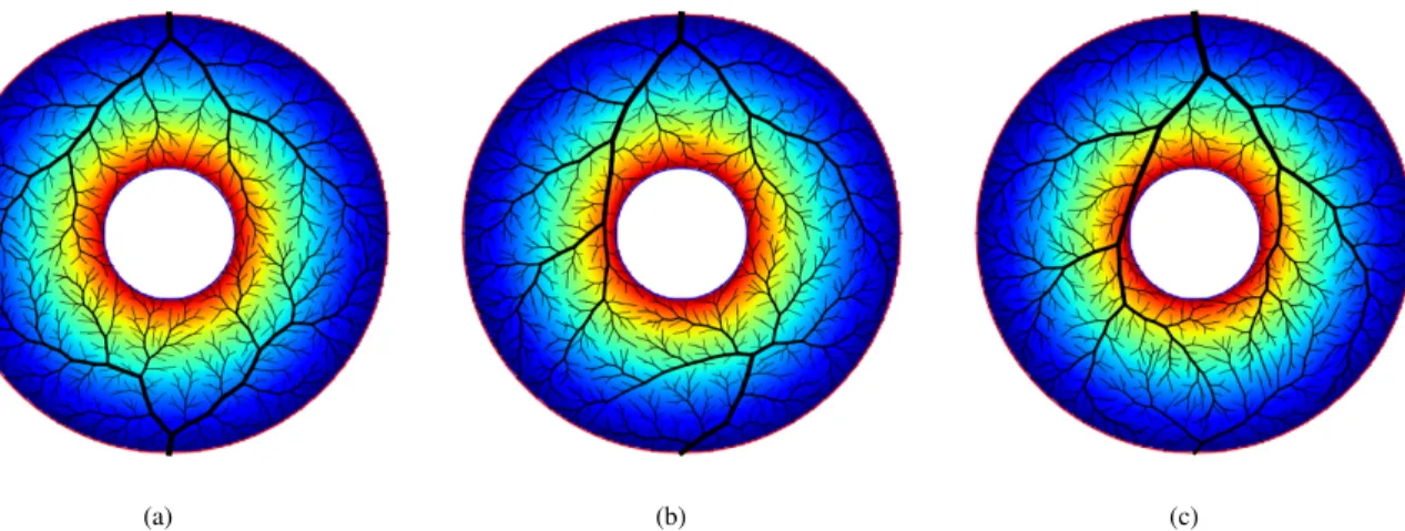 Fig. 1: Example of forest growth proof of concept in simulated 2-D non convex territories, with varying flows