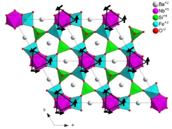FIG. 1: Ba 3 NbFe 3 Si 2 O 14 crystallographic structure and magnetic order projected along the c-axis