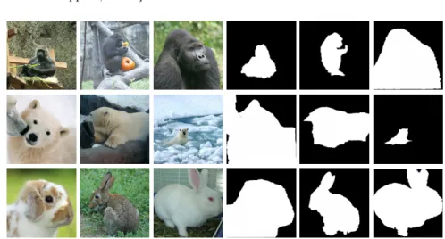 Fig. 1: Extract from the dataset Animals with Attributes [14]: three examples of classes Gorilla, Polar bear, and Rabbit