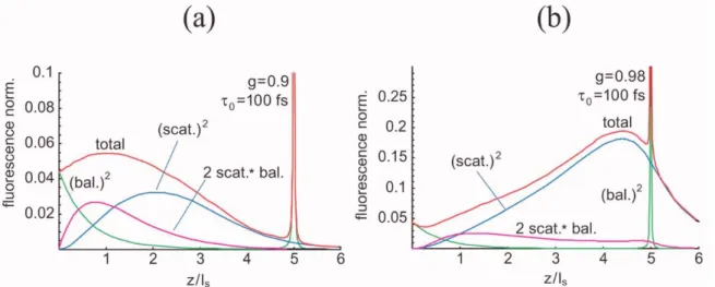 Figure 9. Fluorescence non linéaire émise selon la profondeur. La fluorescence totale [I diff  +  I bal ]² est tracée en rouge et les composantes dues à la lumière balistique en vert, diffusée en  bleu et le terme mixte 2*I diff *I bal  en violet pour un m
