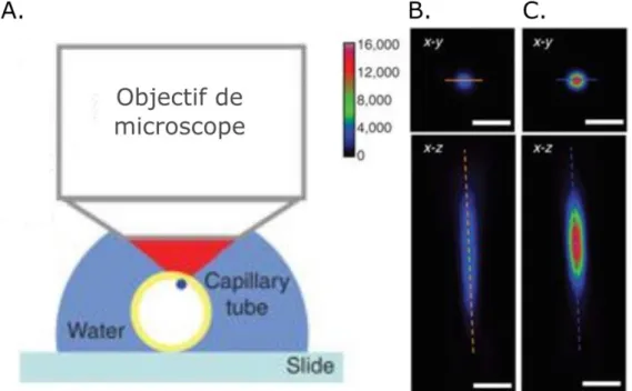 Figure 3. A. Aberration optique induite par la courbure d’un capillaire. B. Volume focal  mesuré en imageant une bille fluorescente de 500nm de diamètre en présence d’aberration