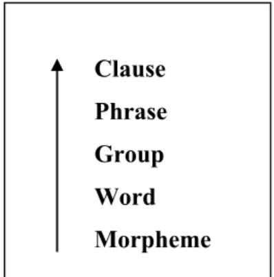 Figure 2. Rank scale 