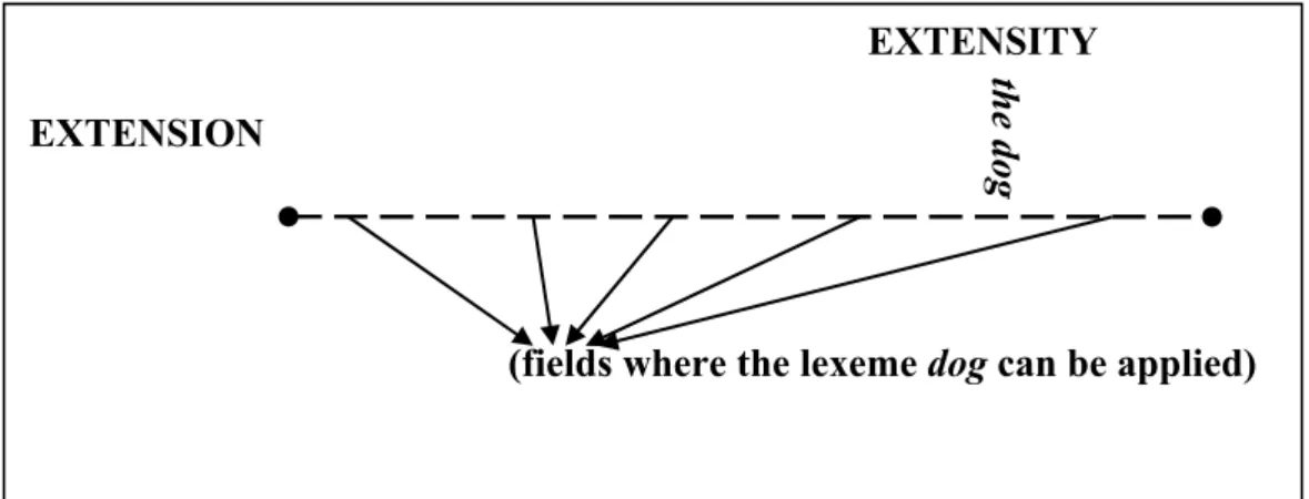 Figure 6. The difference between extension and extensity 