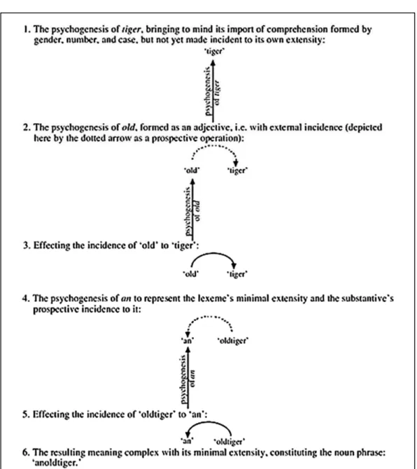 Figure 12. Hirtle's stages of incidence to form an NP (p. 209) 
