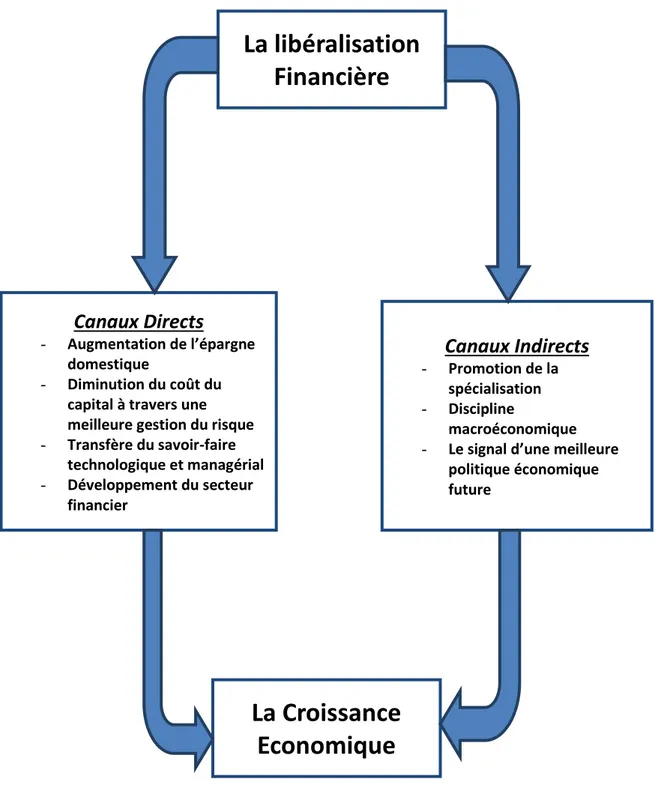 Graphique 6: Les canaux à travers lesquels la libéralisation financière influence la croissance  économique
