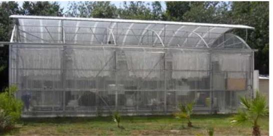 Figure 3: Our experimental greenhouse system GreenhouseActu a t o r s OutputsMeteorologyChOvOmBrTeHeRgVvTiHi