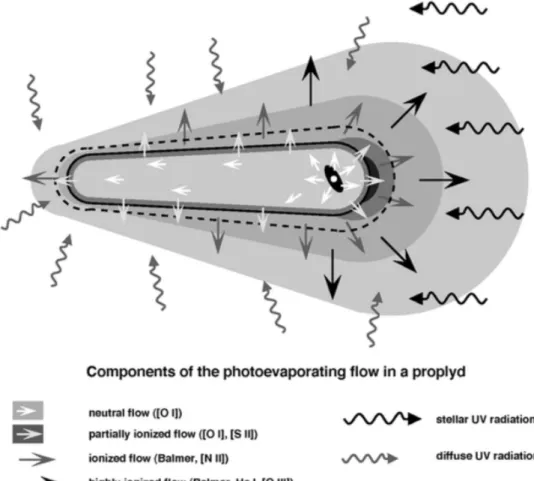 Figure 2 . 10 : Schematic representation of the photoevaporating model, showing the principal components (Henney and O’Dell, 1999 ).