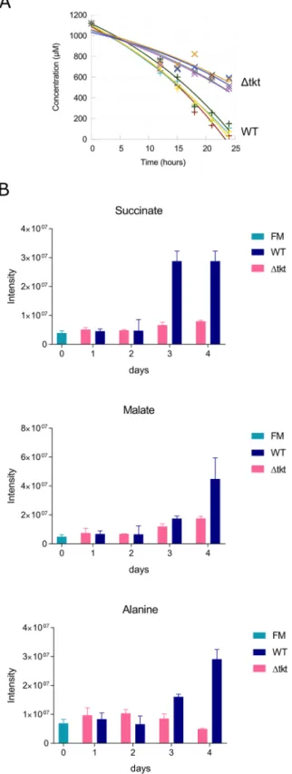 Fig 5. Central carbon flux is decreased in Δtkt. (A) Glucose consumption by WT and Δtkt cell lines