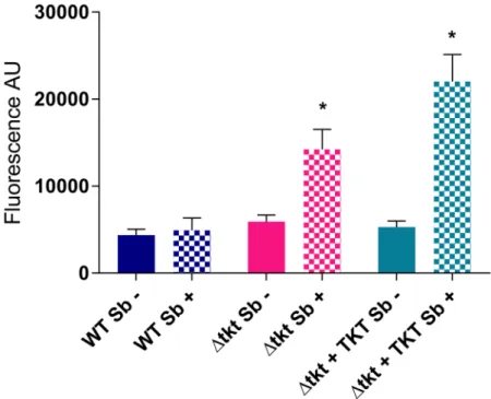 Table 1. Sensitivity to oxidative stress inducing agents and other drugs.