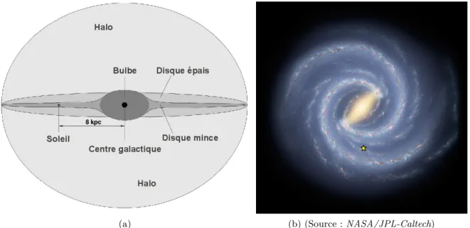 Figure 1.4 – Vue schématique de la Voie Lactée : (a) de profil et (b) par le pôle. Les principales structures et la position du Soleil y sont indiquées.
