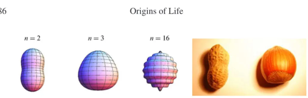 Figure 2. Left: some destabilized modes. Note that the amplitude and the sign of the perturbation is arbitrary and not given by the perturbation analysis