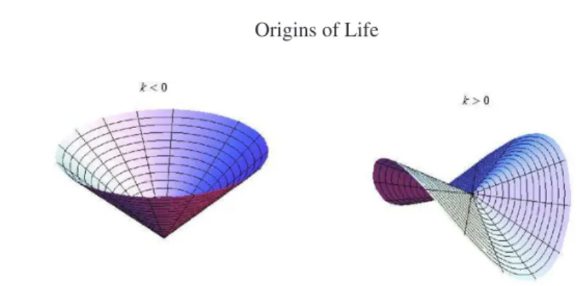 Figure 4. Plot of the solution of the Föppl-von Kármán equations in the limit of large deformations.