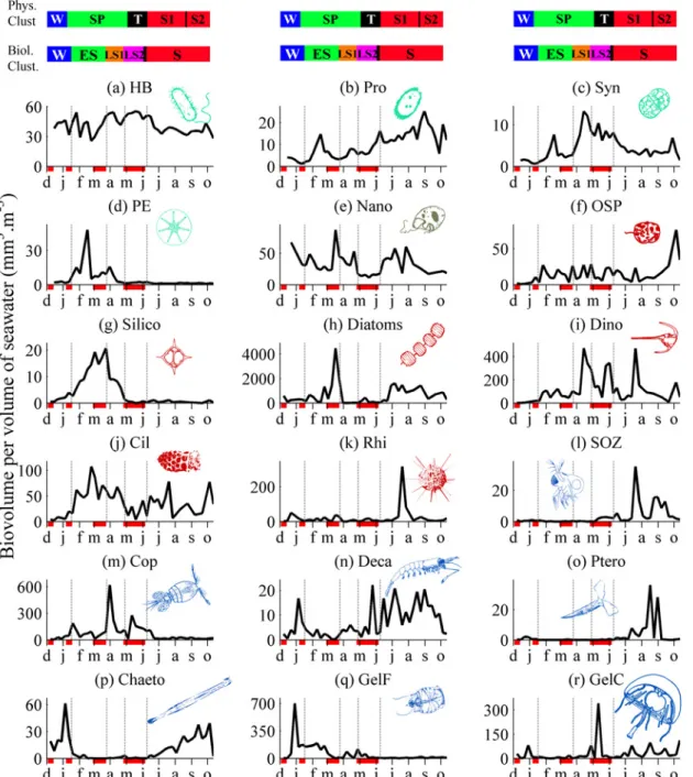 Fig 5. Time series of PEC biovolumes at the sampling station from December 2010 to October 2011
