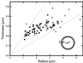FIGURE 4 Evolution of the gel thickness as a function of liposome size.