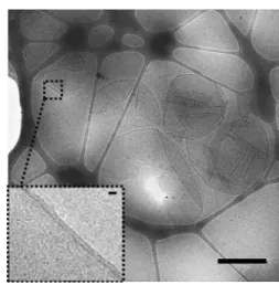 Fig. 2 Schematic illustration of the formation of giant polymersomes by the inverted emulsion technique