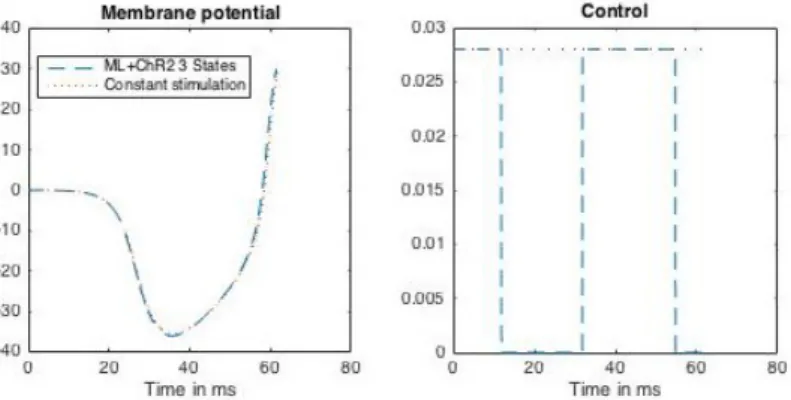 Figure 9 – Optimal trajectory and bang-bang optimal control for the ML-ChR2-3-states model.