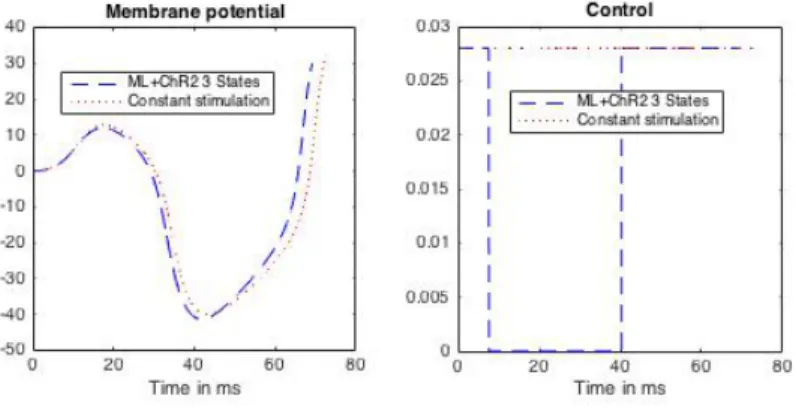 Figure 11 – Optimal trajectory and bang-bang optimal control for the ML-ChR2-3-states model with numerical values of Appendix A and V ChR2 = 20mV