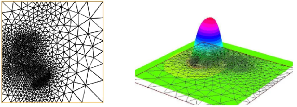 Figure 9.2. The adapted mesh and the solution at time T for ε = 10 − 1