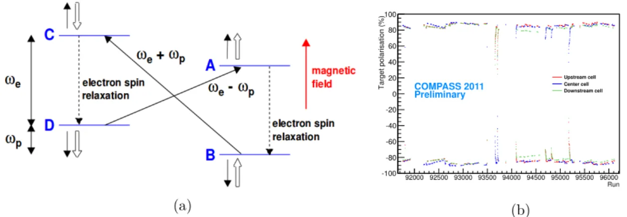 Figure 2.6: a-The four energy levels defined by the spin projections of an electron-nucleus system.