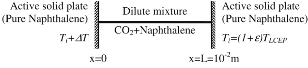 Fig. 2 Dilute mixture CO2 +Naphthalene 