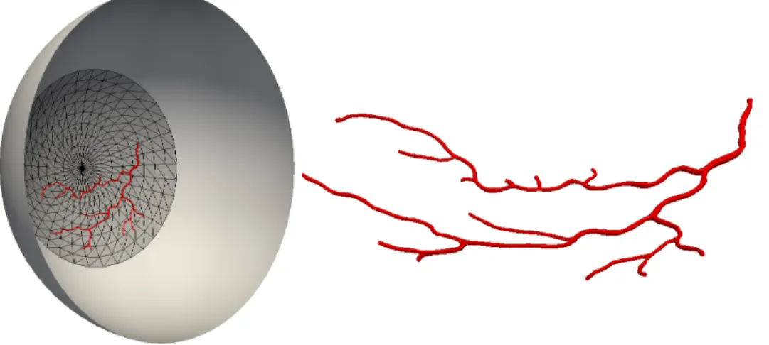Figure 5: Computational mesh (left) and a broader view with the sphere used for the reconstruction (right).