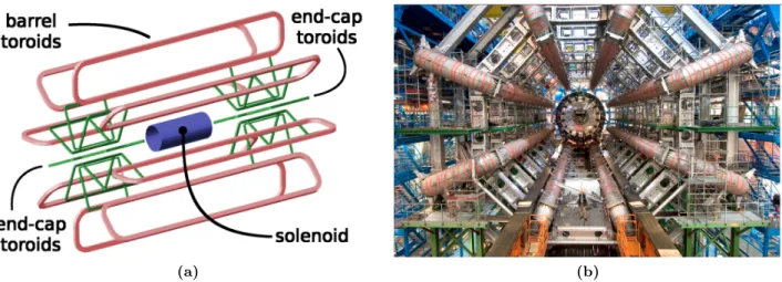 Figure 2.7: (a) Geometry of the coils comprising the solenoid, the barrel and end-caps toroids