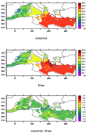 Fig. 5. Salinity maps for experiment 47 WINTER at 400 m and at time t = 35 d. Upper panel corresponds to the Control run, middle panel to the Free and lower panel to the misfit  (Control-Free).