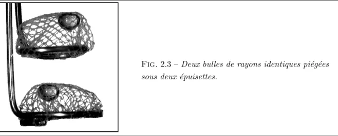 Fig. 2.3 – Deux bulles de rayons identiques pi´ eg´ ees sous deux ´ epuisettes.