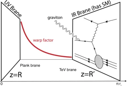 Figure 1.4.1: Cartoon of the RS scenario with a brane-localized SM. The warp factor, (R/z) 2 , causes energy scales to be scaled down towards the TeV brane [48].