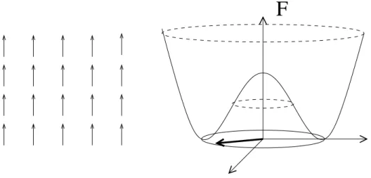 Fig. 2.1 – Etat fondamental ferromagn´etique de spins (par exemple) ´ O(2), et potentiel associ´e pour la magn´etisation.