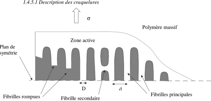 Figure 1. 14 : représentation schématique d’une zone de craquelures contenant des fibrilles de  diamètre D et espacées de d 