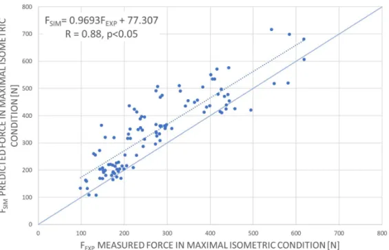 Figure 7. Predicted force norm (F SIM ) as a function of the measured maximal isometric  force (F EXP ) in maximal isometric condition