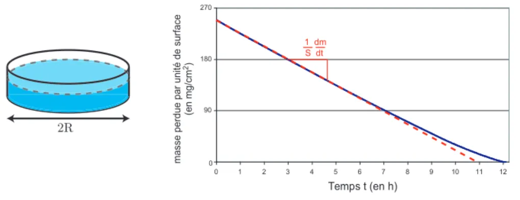 Fig. 3.3: (` a gauche) : Dispositif exp´erimental pour d´eterminer la perte de masse d’un liquide